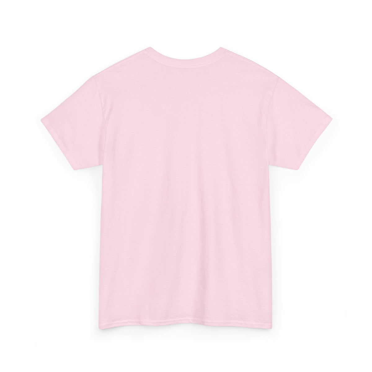 Don’t Burn the Day Away — Pig Graphic T‑Shirt