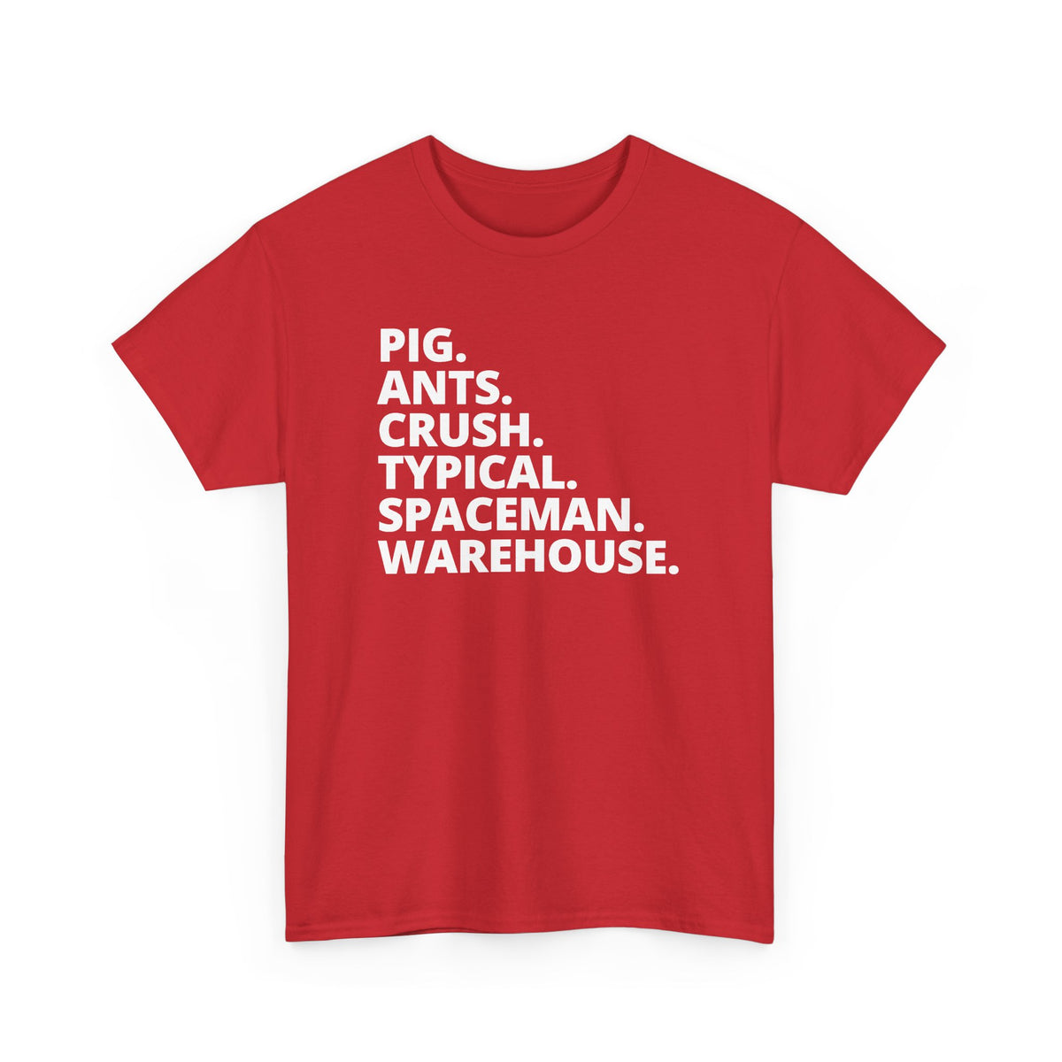 Unisex Heavy Cotton Tee